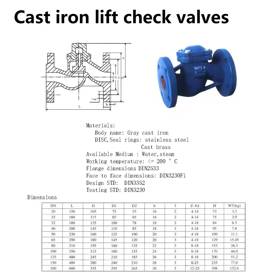 Cast iron lift check valves.webp